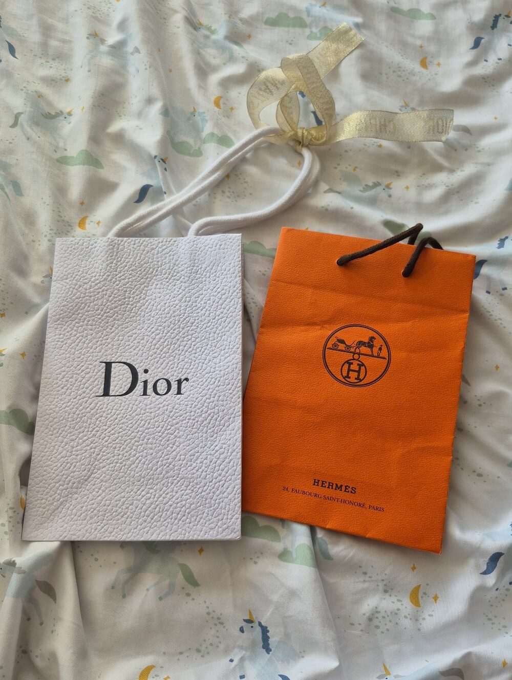 Dior and HERMES Shopping Bags Set